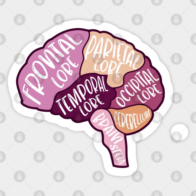 Human brain - anatomy of the brain Sticker by Dr.Bear